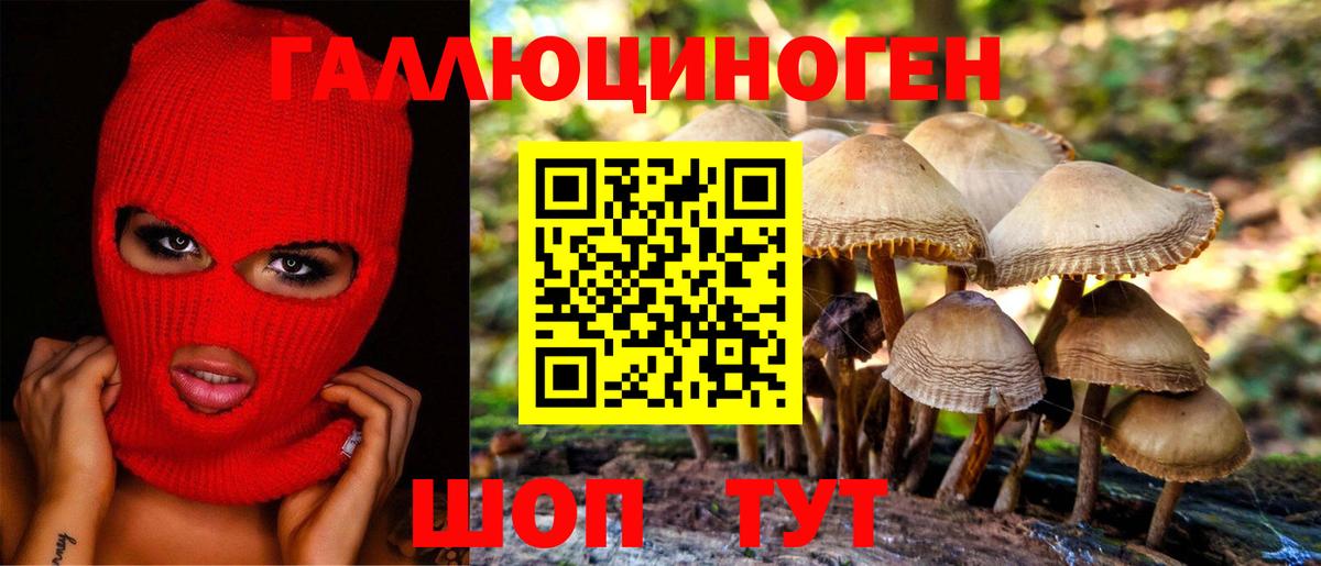 цена наркотик  Вход с VPN  Радужный  Галлюциногенные грибы мицелий 