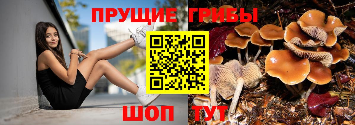 Псилоцибиновые грибы MAGIC MUSHROOMS Радужный